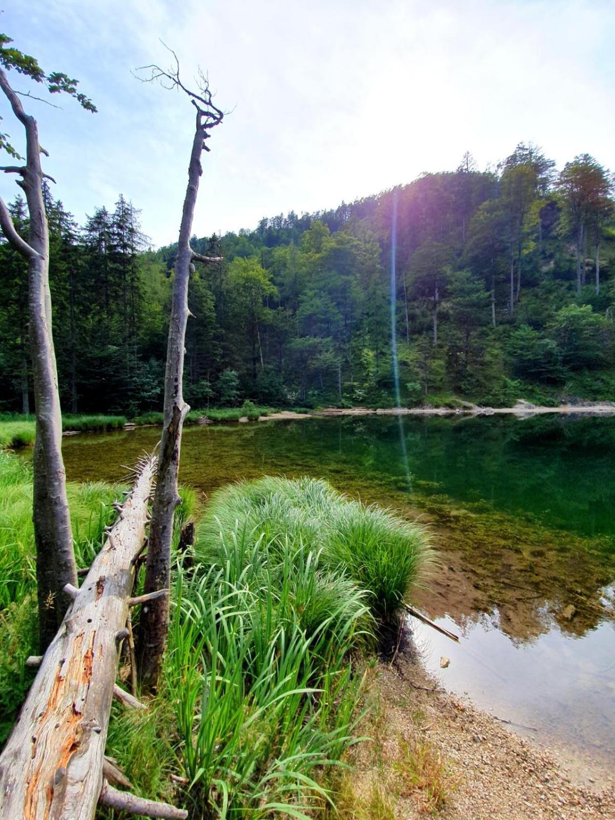 Ferienwohnung Haus Füsslmühle Fuschl am See Exterior foto